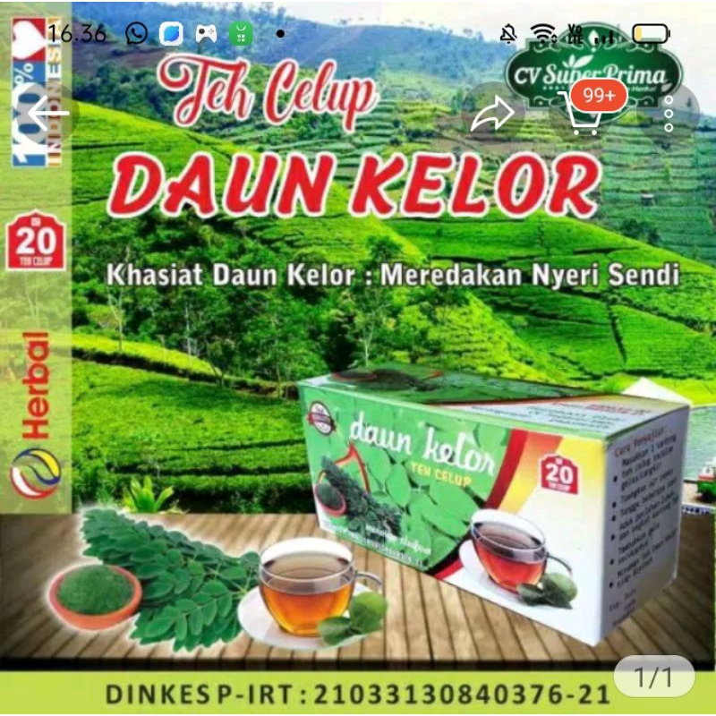 

Teh Celup Daun Kelor Teh Herbal