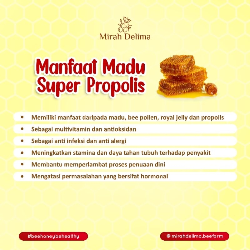 

Korzaln Madu Super Propolis - Kombinasi Madu Royal Jelly, Pollen Dan Propolis - 600 Ml - Botol Kaca