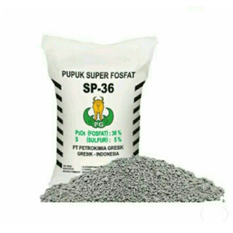 Pupuk SP36 1kg