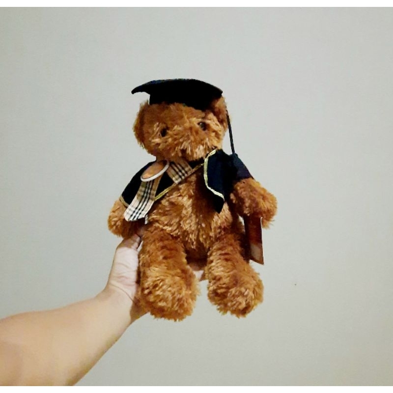 BonekaTeddy Bear Wisuda Bulu Original Isbon Size 30 Cm/ Teddy Wisuda