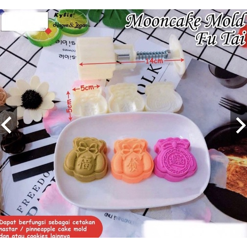 Cetakan mooncake classic money fu tai