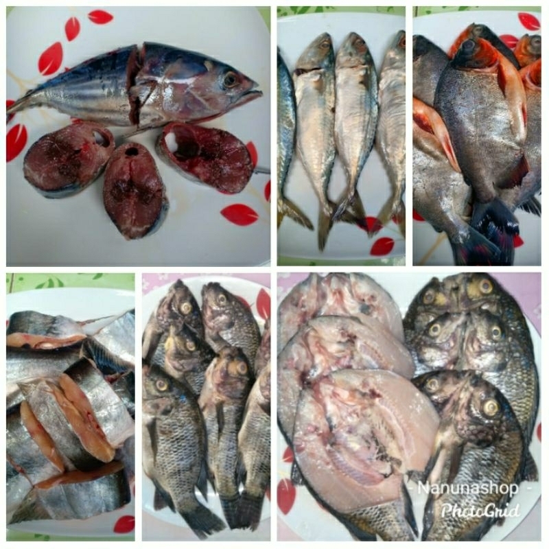 

Aneka ikan segar sudah bersih kembung/patin/bawal/lele