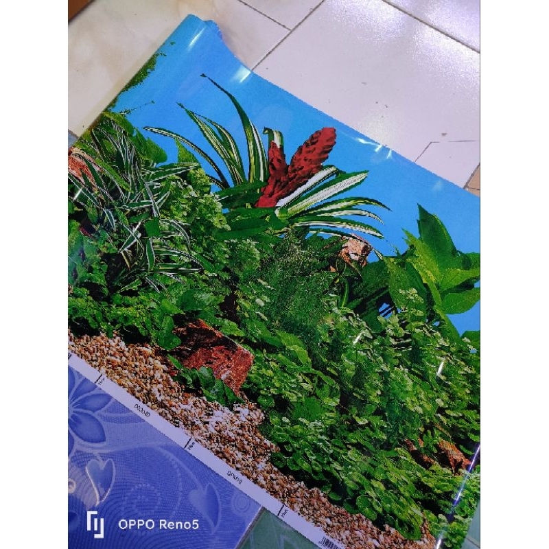 Background aquarium begron aquarium wallpaper aquarium