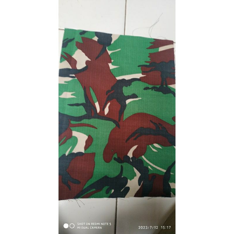 loreng baloteli malvinas wr