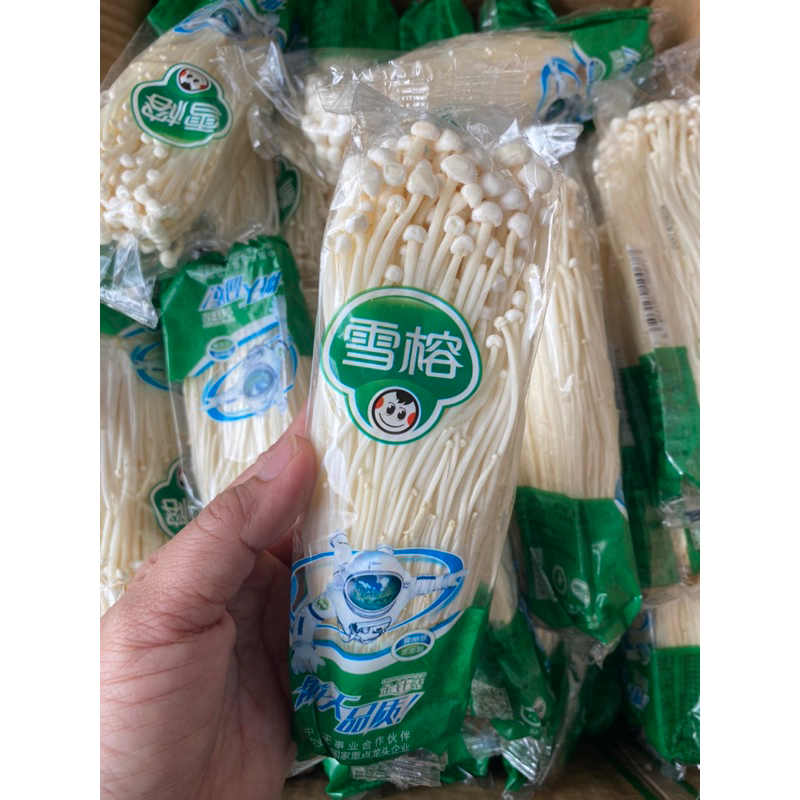 

Jamur Enoki Murah