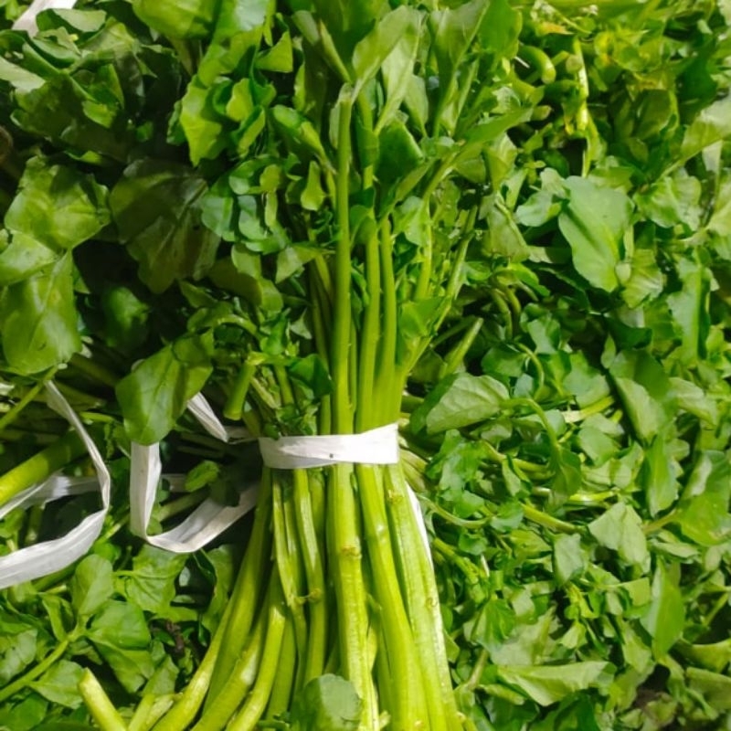 

sayur selada air