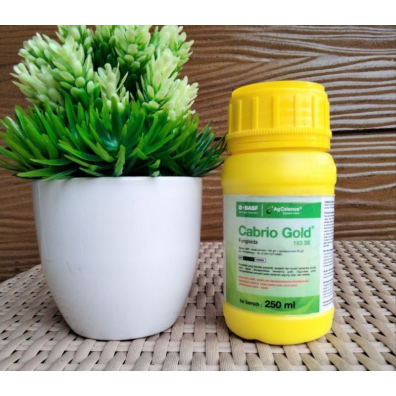 Cabrio Gold 183 SE 250ml