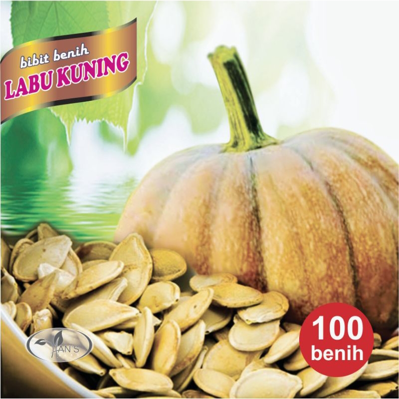 biji benih labu kuning/biji labu kuning/benih labu kuning jumbo. 100 benih