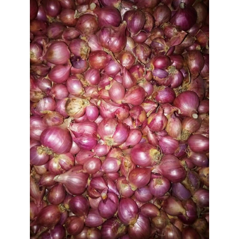 

Bawang merah Kering uk. sedang 1kg