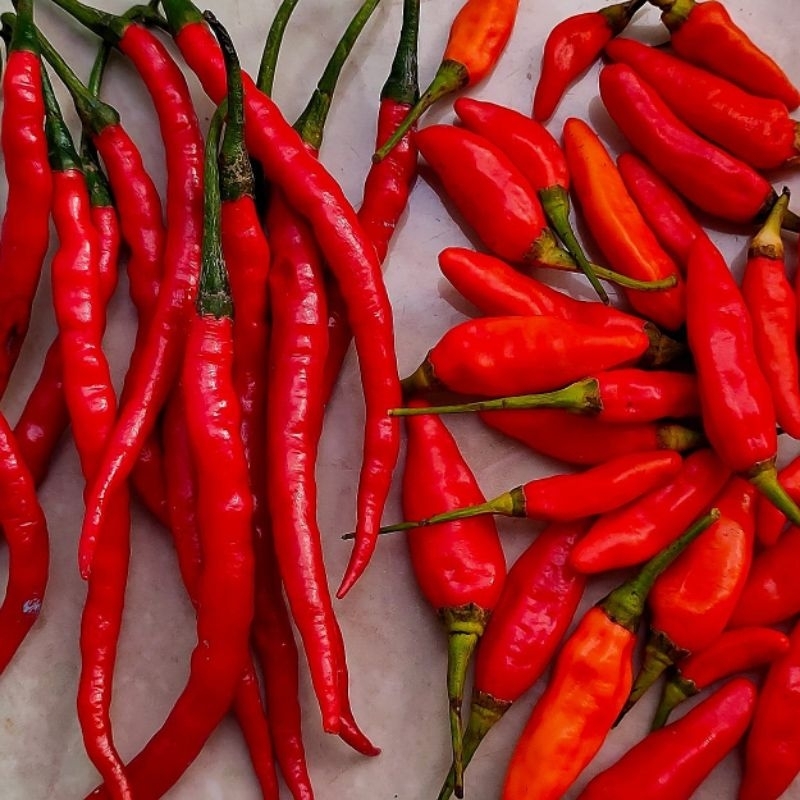 

cabe rawit merah cabe merah keriting