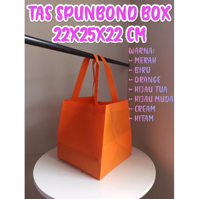 

(Ecer) Tas hajatan 22x22 cm Tinggi 25 cm / Tas spundbond / Tas berkatan / Goodie Bag