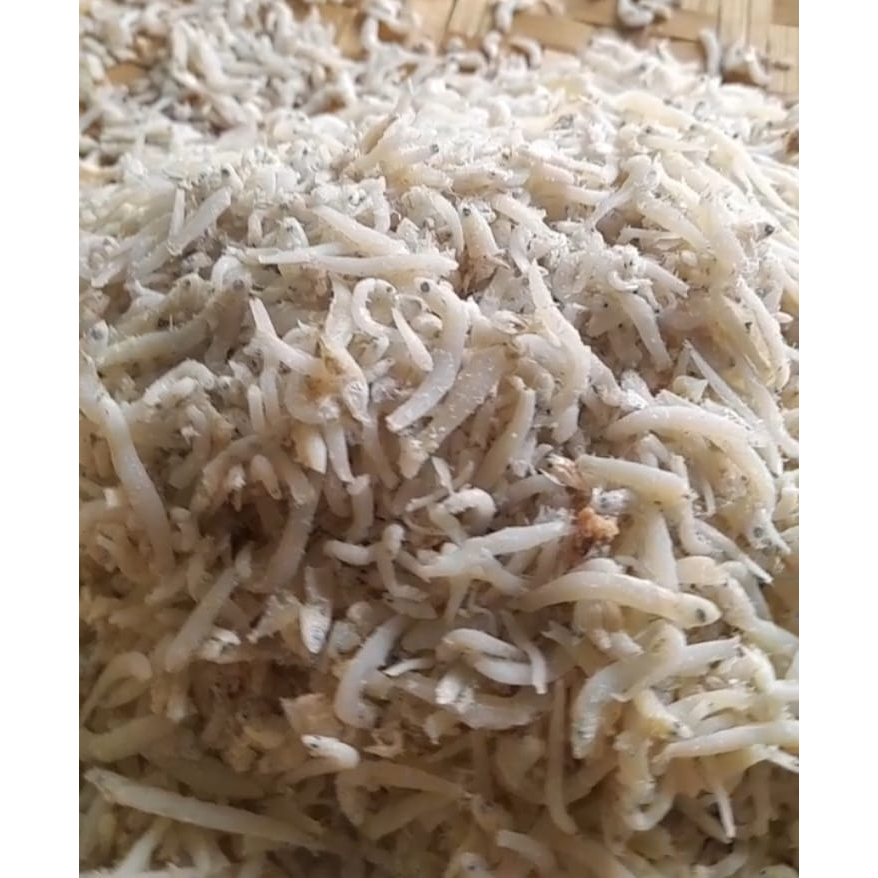 

Teri Nasi Asin Medan Non Kimiawi 100gr.