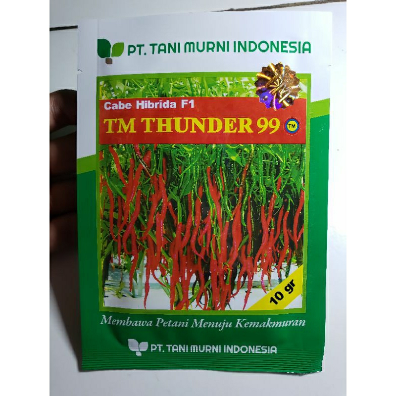 benih bibit cabe keriting TM THUNDER 99 benih terbaik isi 10 gram benih murni