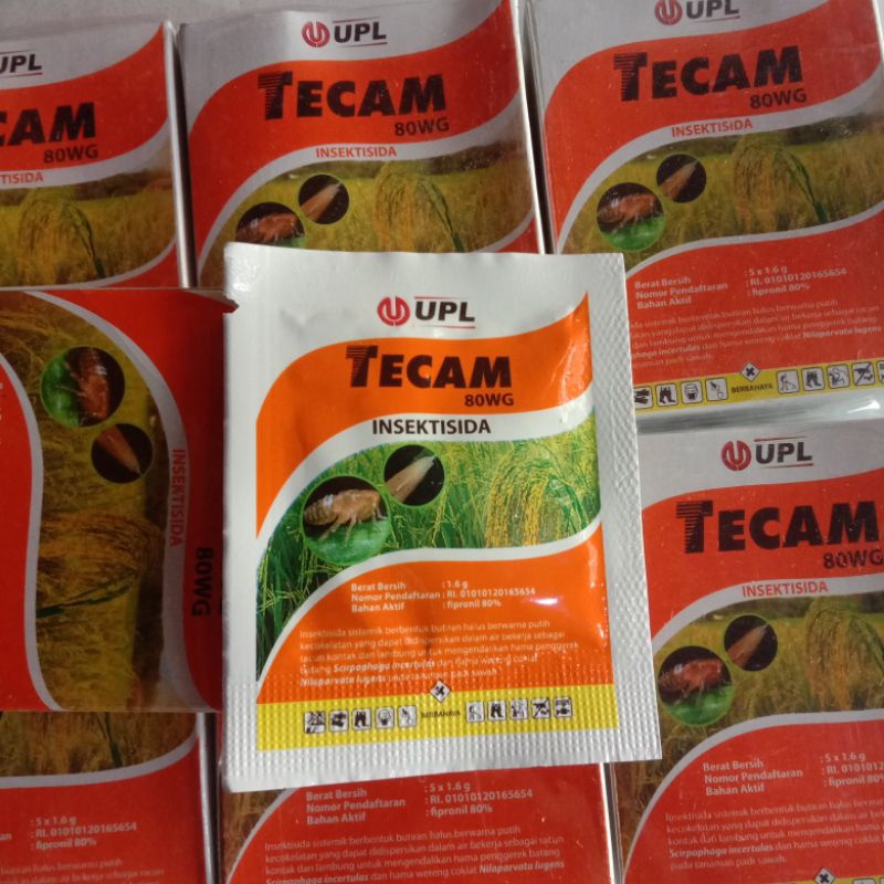 TECAM 80WG RACUN SEMUT