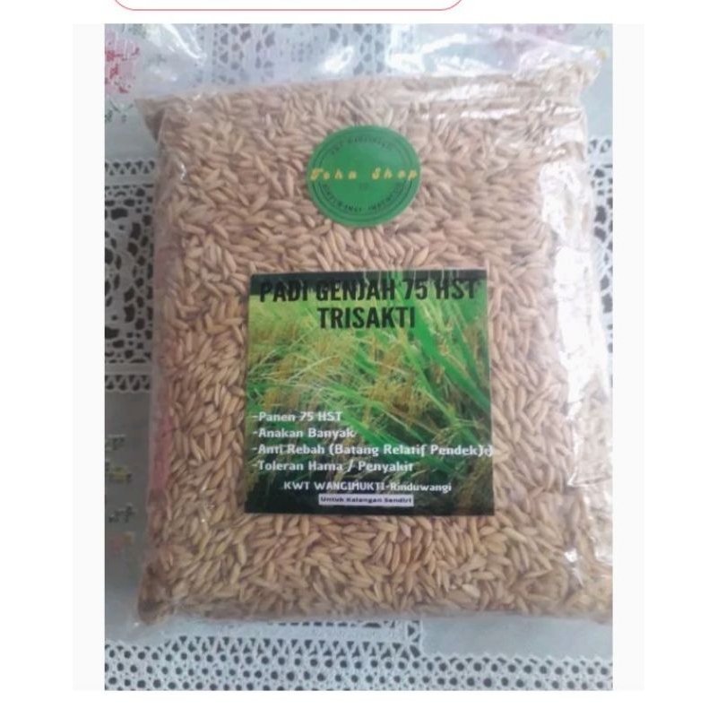 Benih Padi Genjah Trisakti  1/2 kg / 1 kg