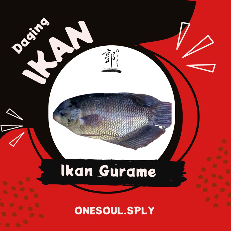 

Ikan Gurame FRESH