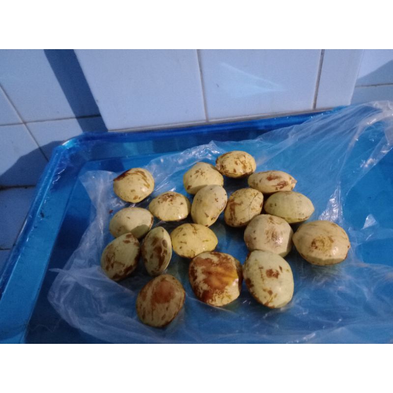 

Jengkol Kupas 10 buah