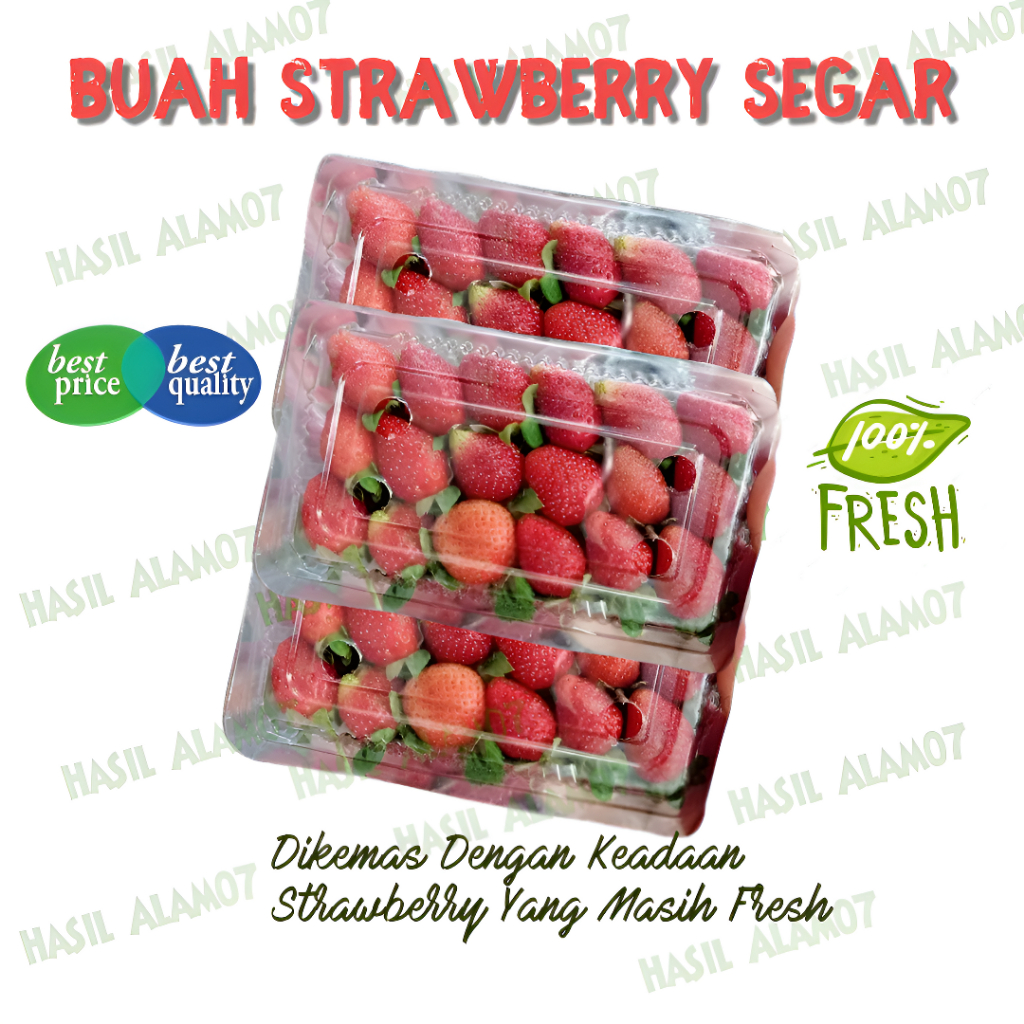 

Buah Strawberry Stroberi Stoberi Kemasan Segar Fresh Fruits Harga 120 Gram