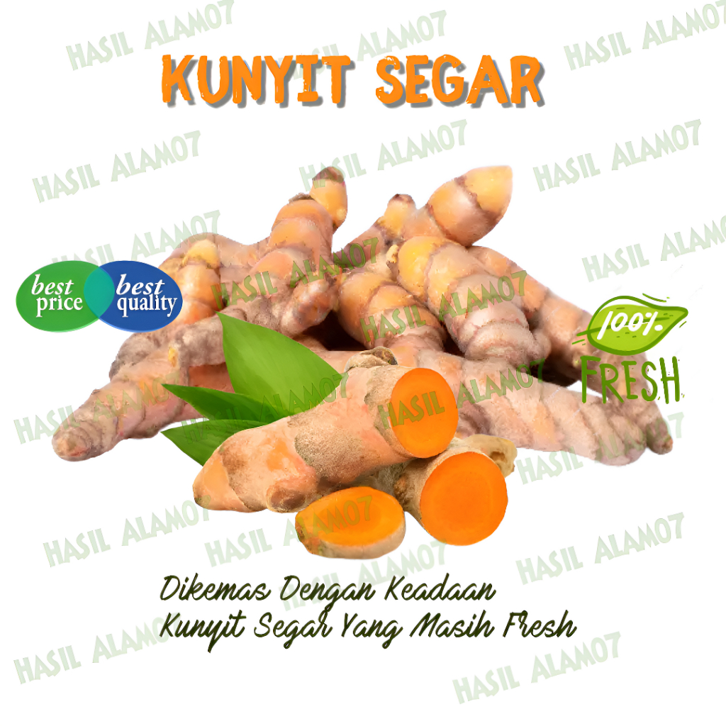 

Kunyit Segar Fresh 1kg Kunir