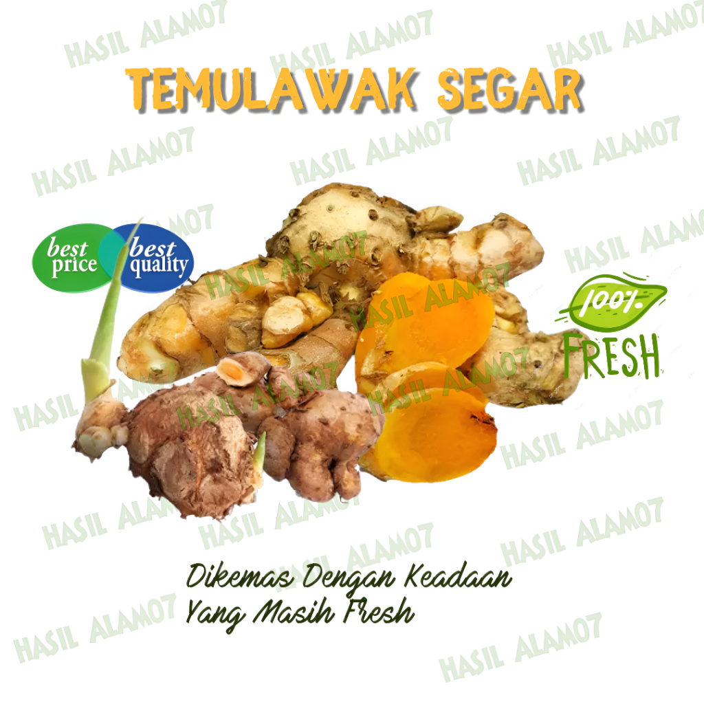 

Temulawak Segar 1kg