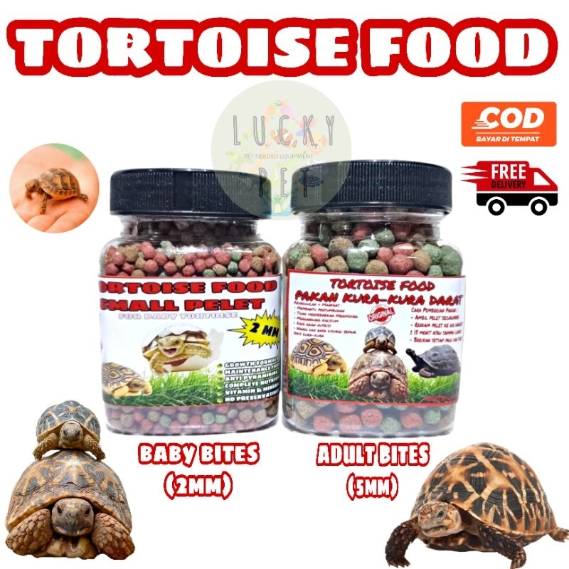 [FOR TORTOISE BABY-ADULT] Makanan pakan pelet kura kura darat sulcata sulkata pardalis indian star a