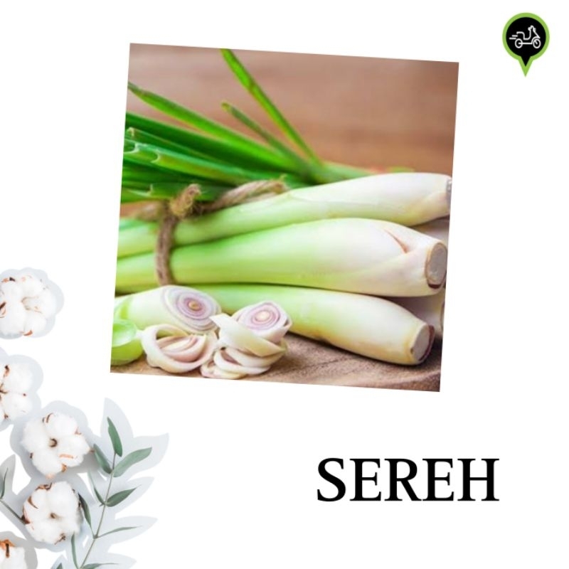

Sereh /serai