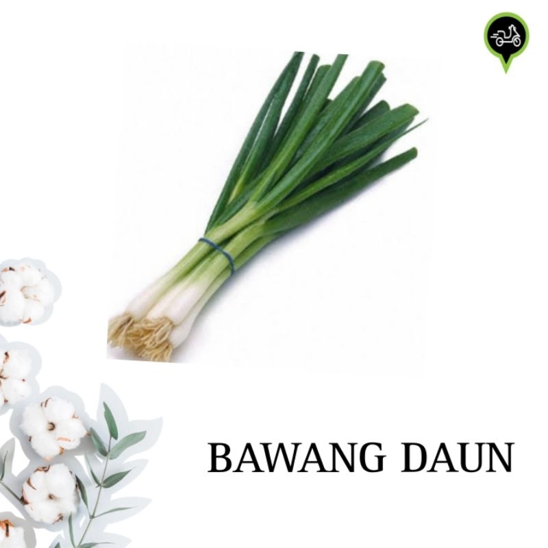 

Bawang daun