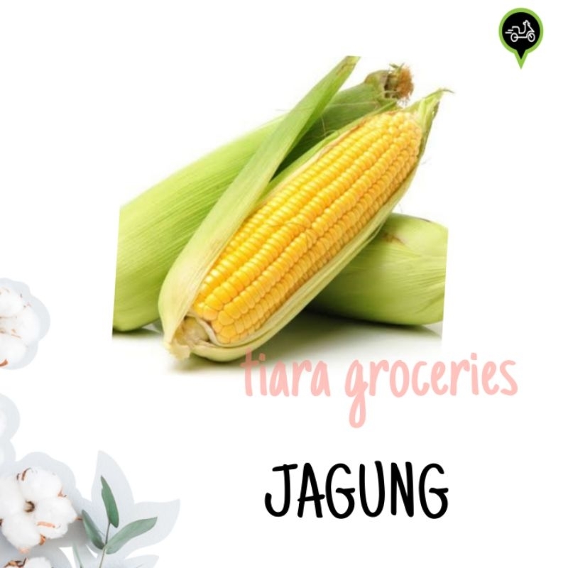 

Jagung manis / jagung semi