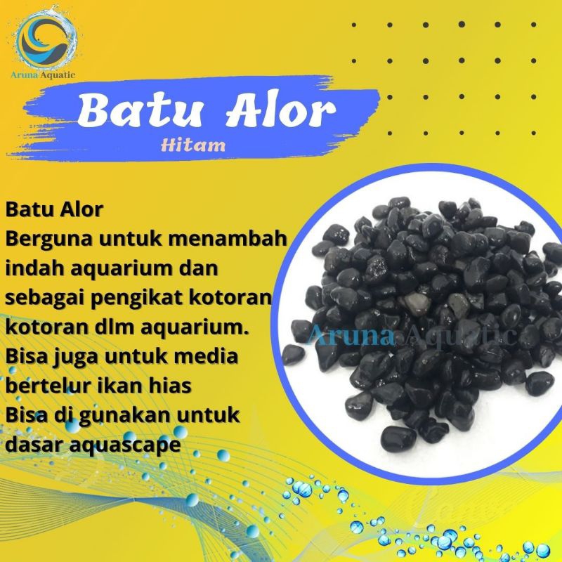 BATU KORAL HITAM ALOR BATU HIAS AQUARIUM AQUASCAPE