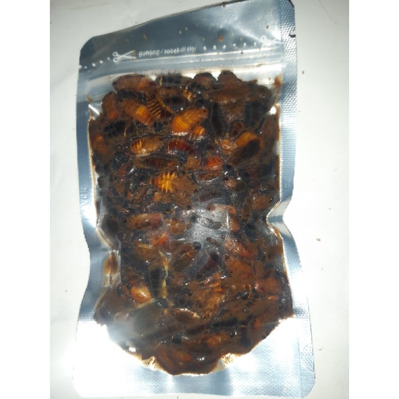 KECOA BATU RACIK UMPAN SIAP PAKAI UNTUK GALATAMA LELE DAN HARIAN