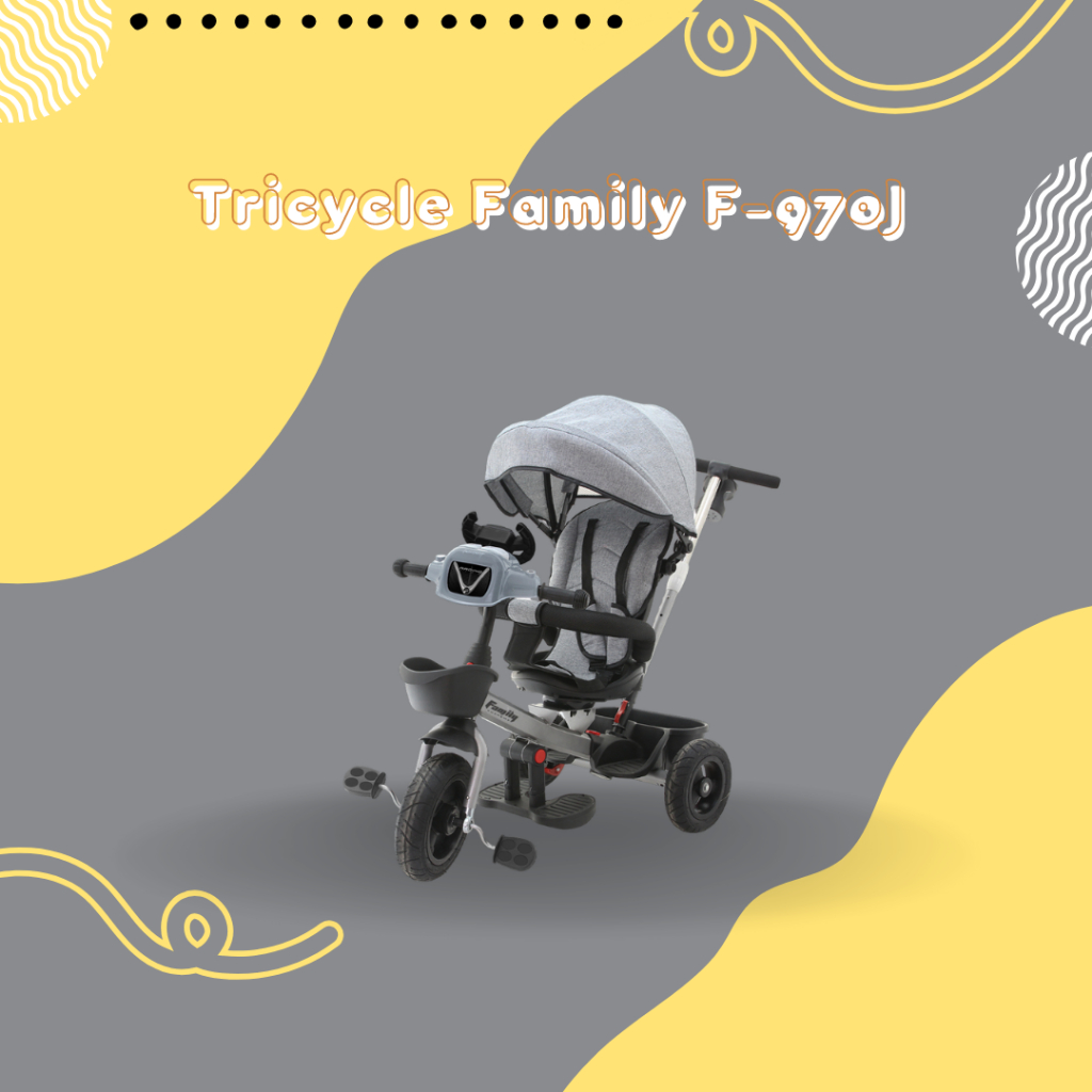 Tricycle Family F-970J Clarton
