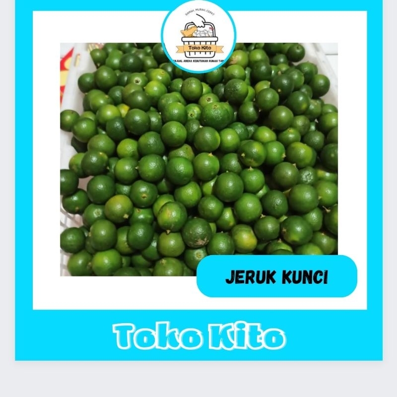 

JERUK KUNCI / JERUK SONKIT / LEMON CUI / JERUK KASTURI / JERUK KALAMANASI