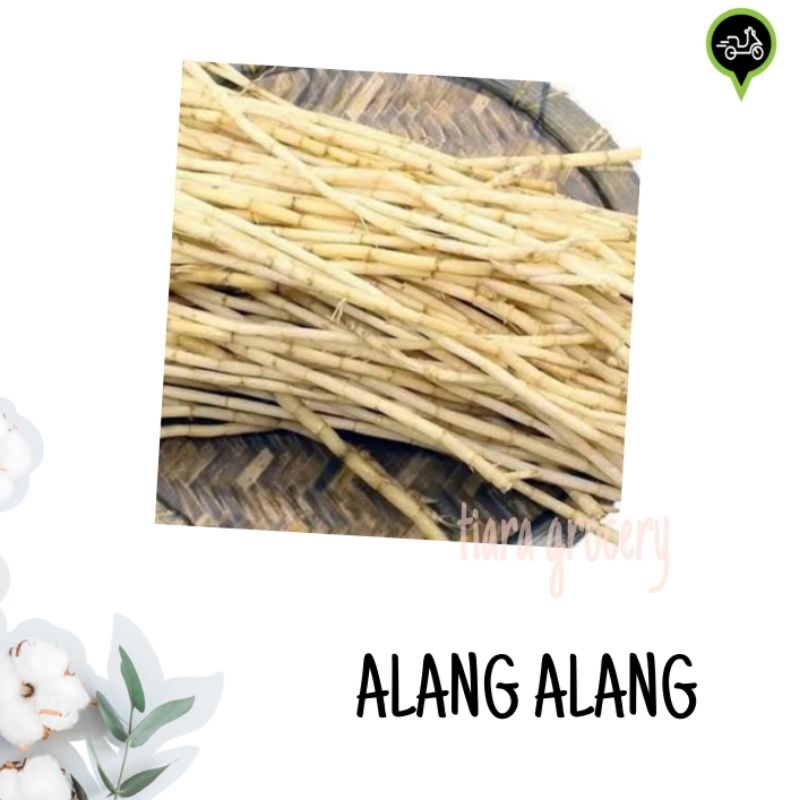 

Alang alang /akar eurih