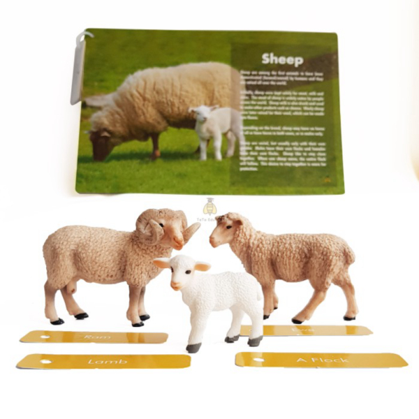 

Murah Figurine - Sheep - Tata Family Farm Animal Unik Montessori Edutoys Sensory