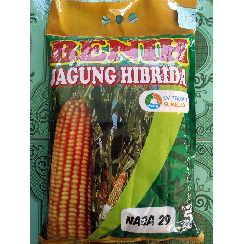 Benih Jagung Hibrida NASA 29 tahan bulai 5kg