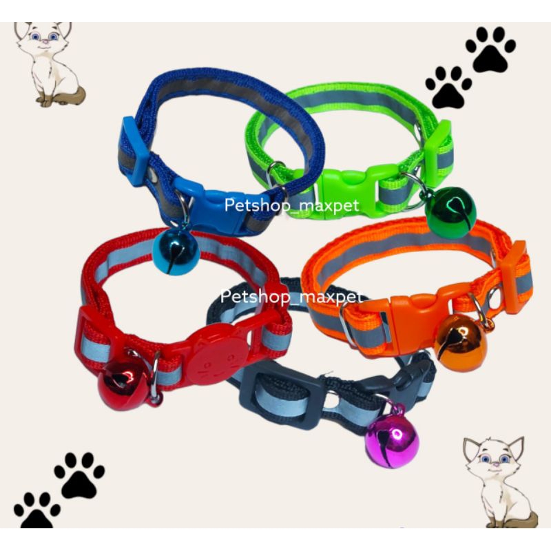 kalung hewan kucing anjing adult kitten dewasa anak skotlet Scotlite glow in the dark bisa menyala n