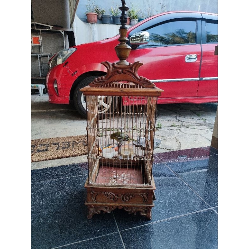 Burung Cipo / Sirtu / Cipow Jantan JINAK Purtotal Fullset Ukir Jati Hrg net