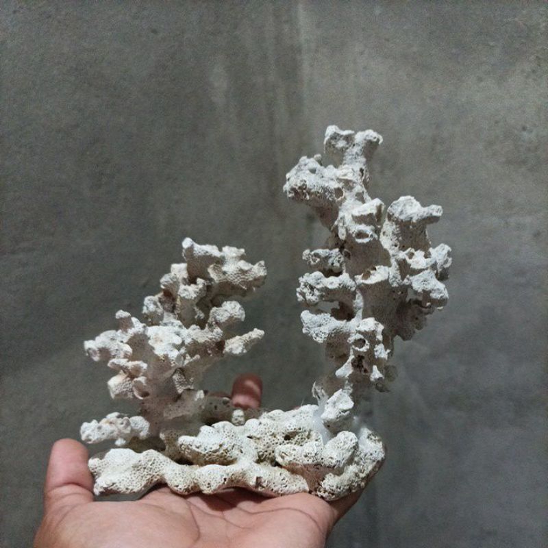 Batu karang tebing batu karang laut batu karang aquarium rangkai 2 cabang aquarium kesukaan ikan