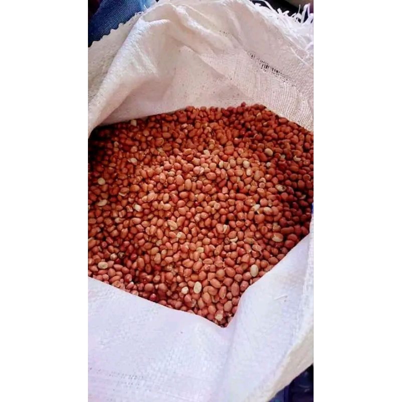 

KACANG TANAH KUPAS dari petani desa