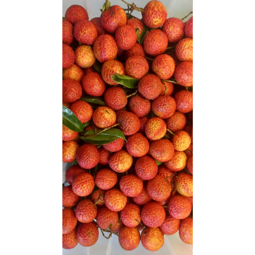

Buah Leci/Lychee/Lecy Manis