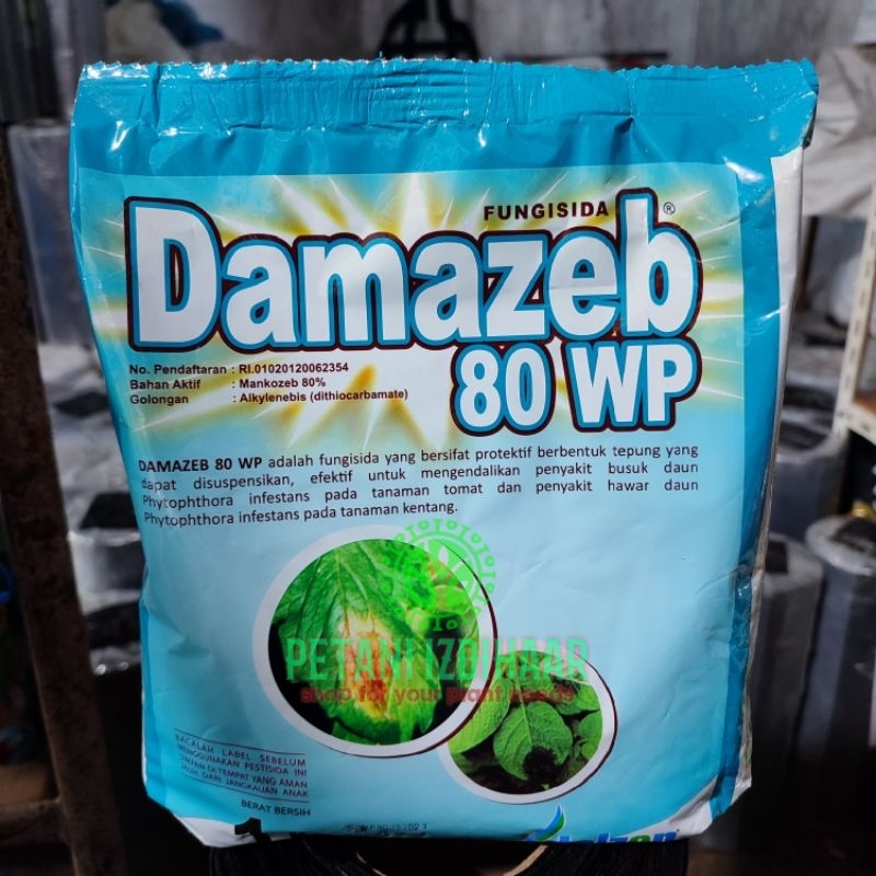 Damazeb (kuning) 80wp