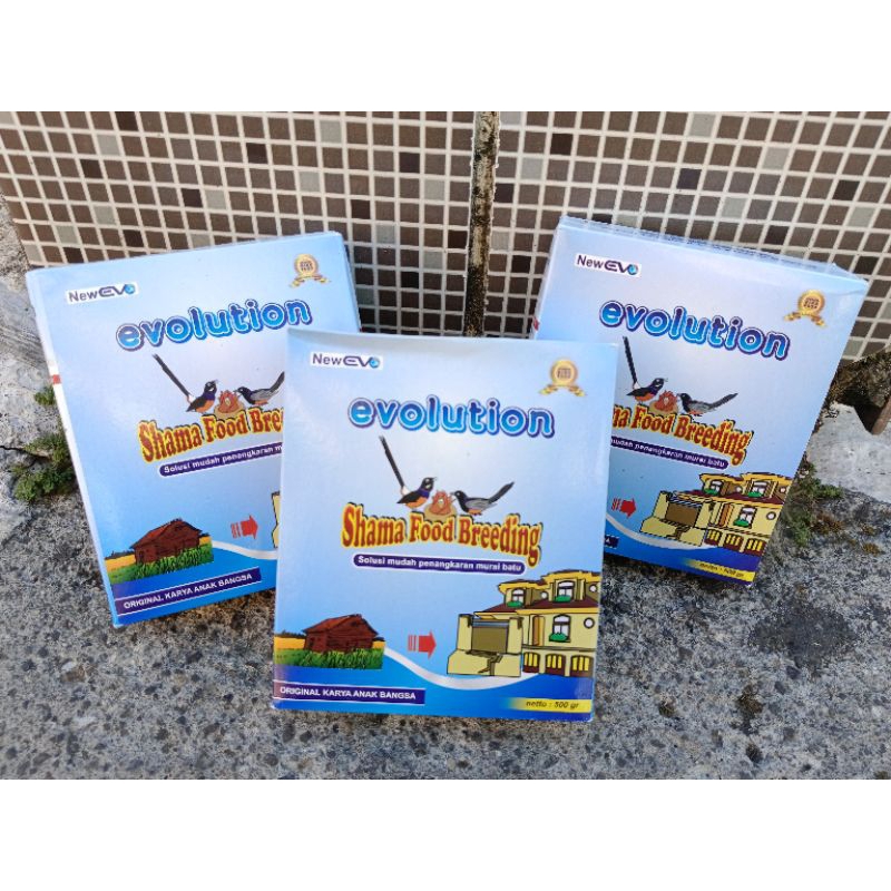 EVO BREEDING VOER EVOLUTION BREEDING MURAI BATU LENGKAP NUTRISI DAN PROTEIN