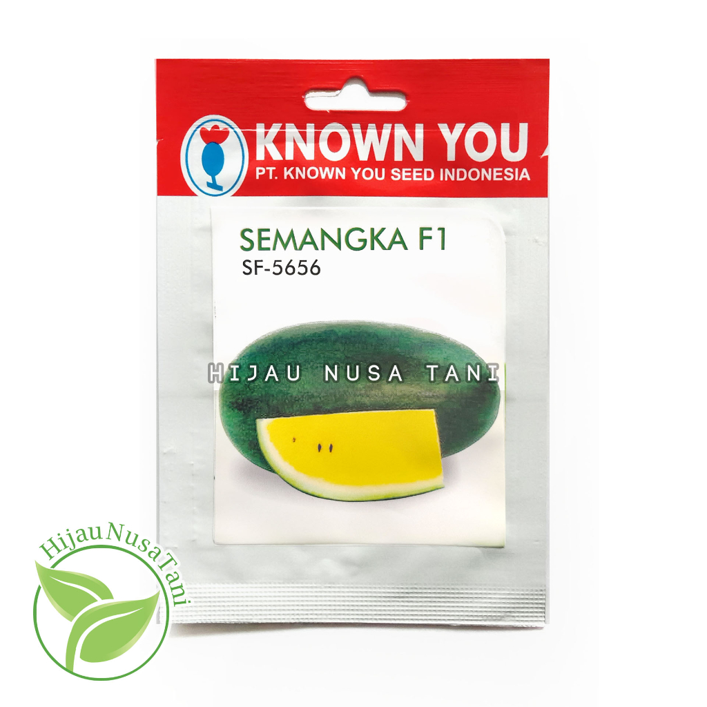 Benih Semangka MELINA SF-5656 Known You Seed Small Pack - Semangka Inul Kuning Baby / Mini inul Hibr