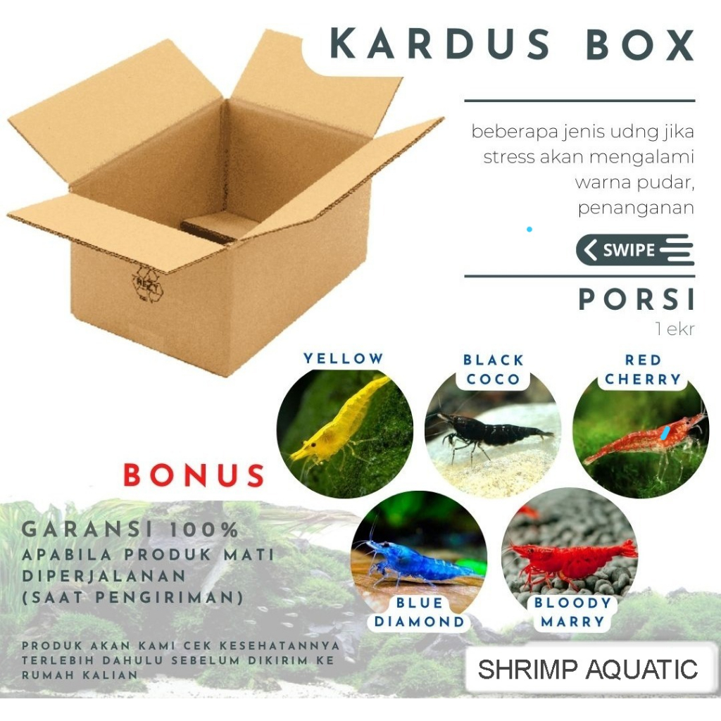 

Kardus Packing Tambahan Bergaransi