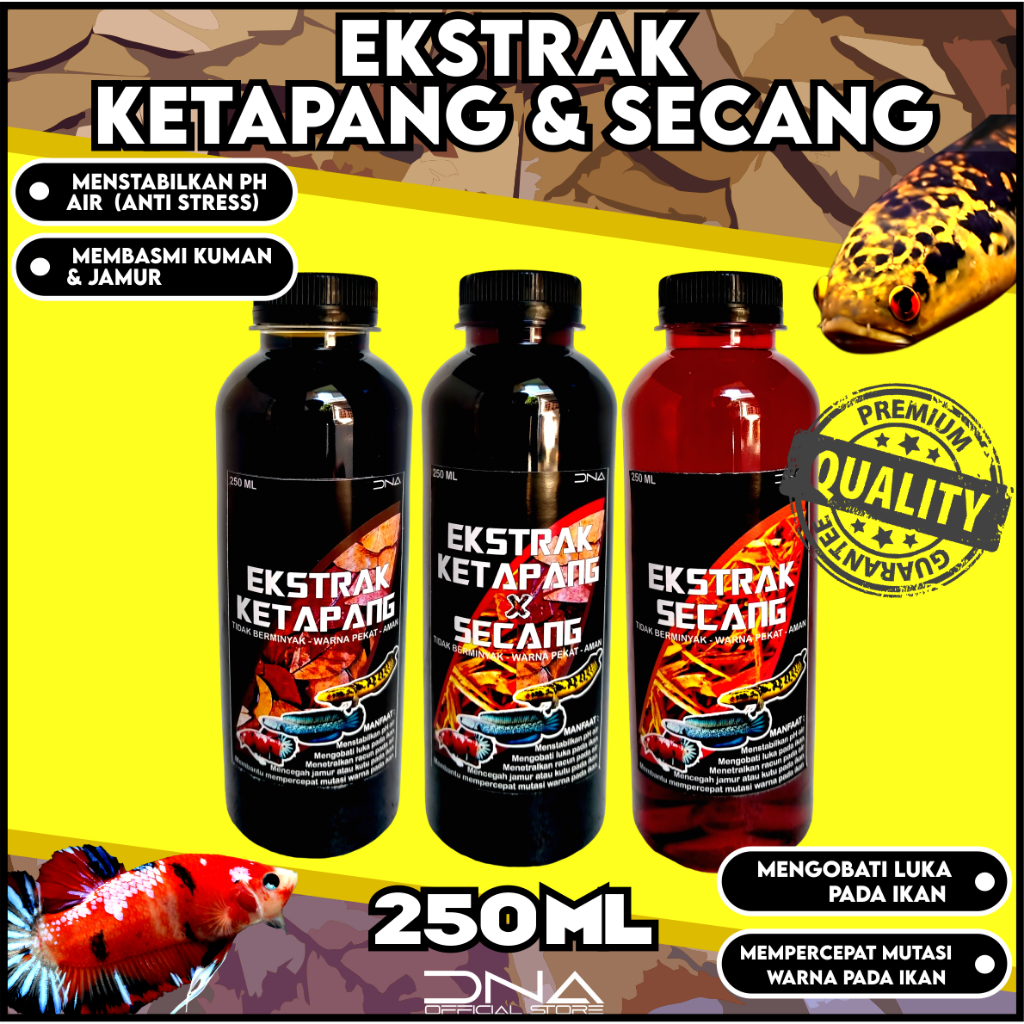 Ekstrak DAUN KETAPANG x KAYU SECANG Pekat 250 ML Tidak Berminyak untuk segala jenis ikan Channa Arwa