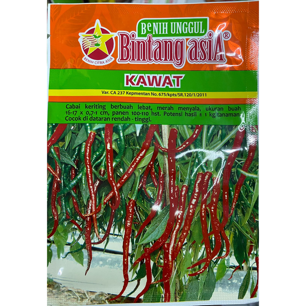 Benih cabe keriting KAWAT 10gr BINTANG ASIA