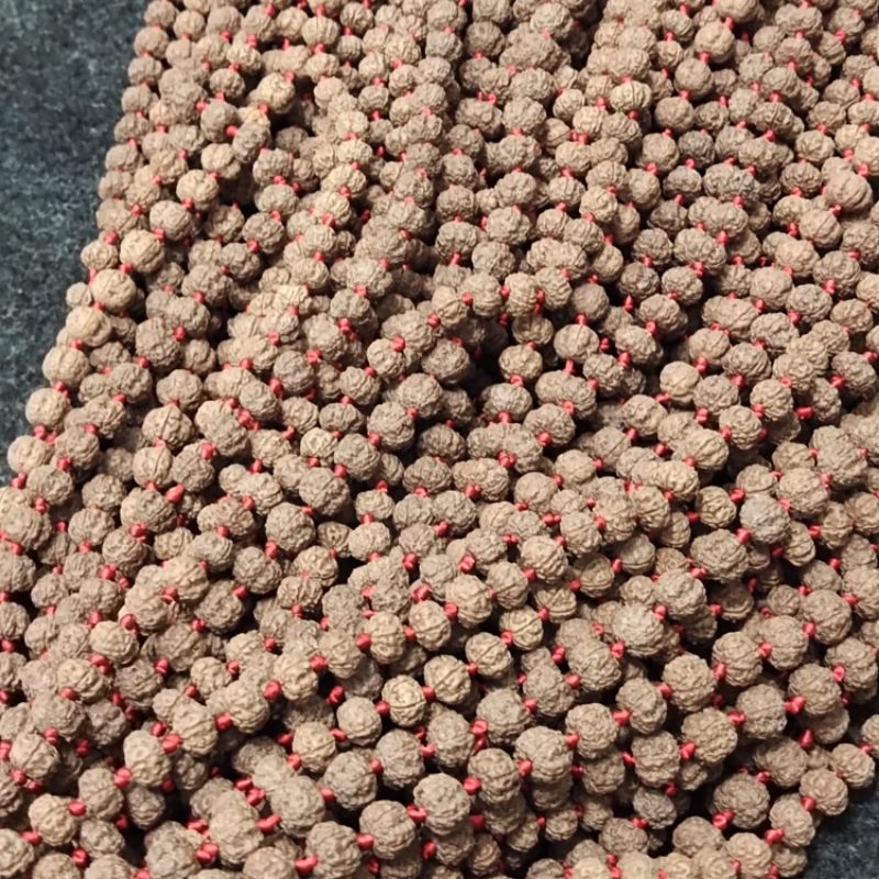 japamala rudraksha tali lilit original rudraksha 108