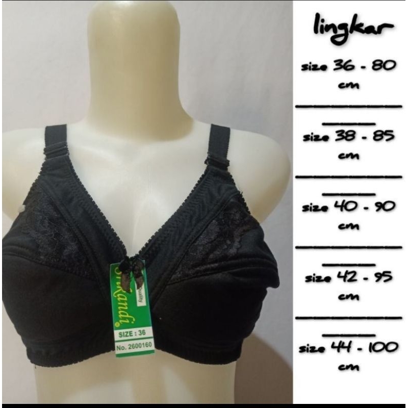 Model BH Plum InternasionalBH tanpa busa Kawat
