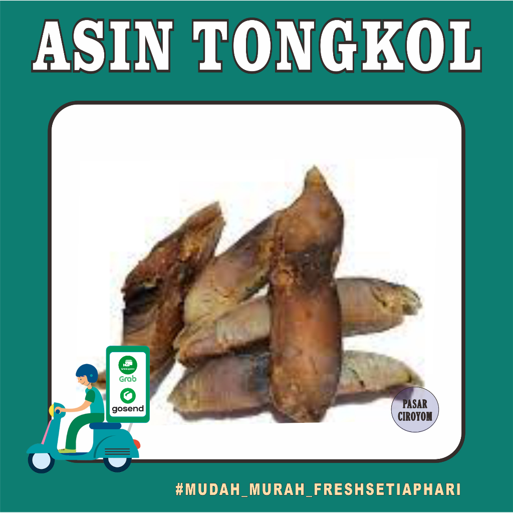 

ASIN TONGKOL FRESH MURAH BANDUNG