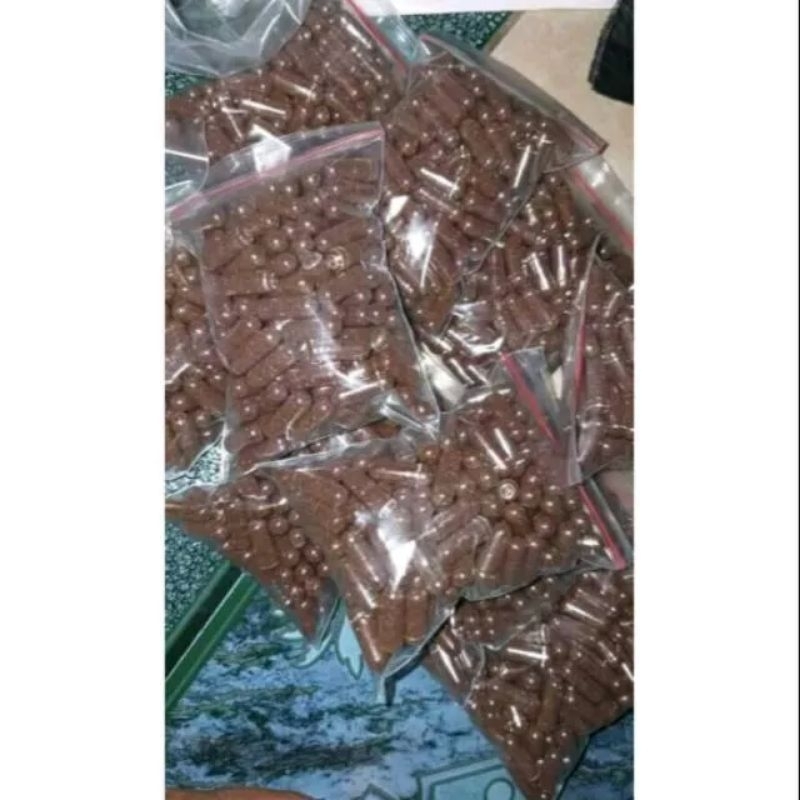 

[TERMURAH] ASAM GELUGUR KAPSUL | ASAM GELUGUR